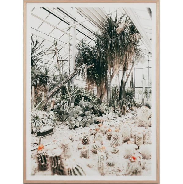 DESERT GLASSHOUSE