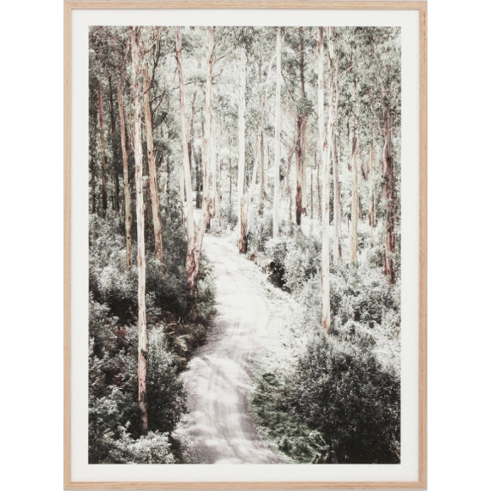 EUCALYPTUS TRAIL