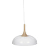 VIVID DISK PENDANT LIGHT